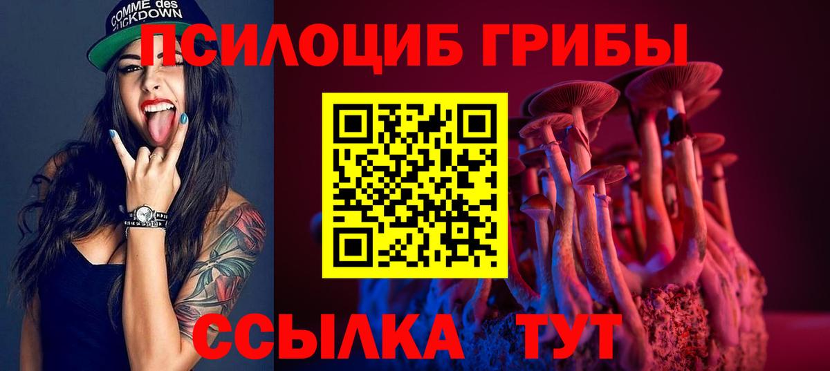 Псилоцибиновые грибы мицелий Ейск